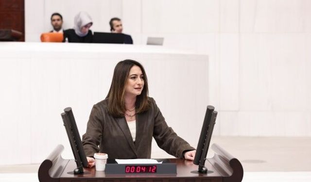 CHP'li Aysu Bankoğlu: Ay sonunu getirmek tarih oldu