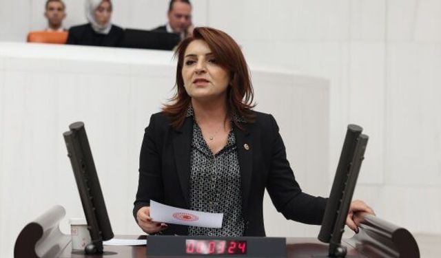 CHP'li Gülcan Kış’tan asgari ücret tepkisi:  “Bu masa meşru değil, 39 bin liranın altı sefalet ücretidir”
