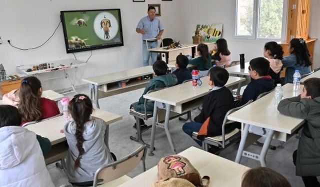 Öğrenciler, Arıların Dünyasını İnceleyerek Öğrendi