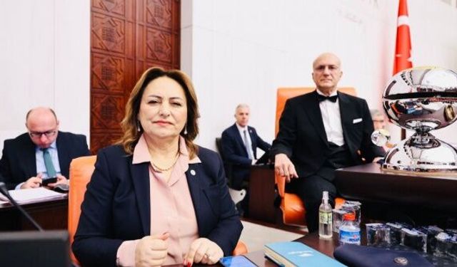 “AKP, yerel yönetimleri devre dışı bırakmak istiyor”