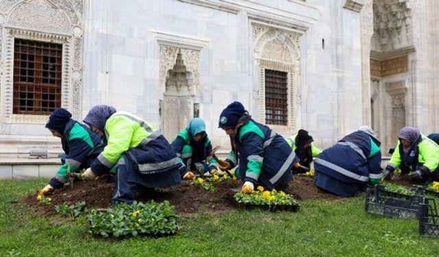 Bursa kışları da çiçek bahçesine dönüşüyor
