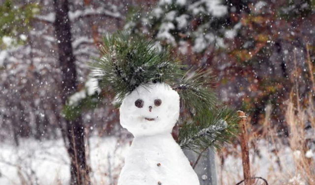 Meteoroloji'den açıklama: Dondurucu soğuklar ne zaman gidiyor?