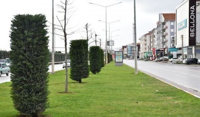 Balıkesir'de 20 ilçeye çiçek gibi hizmet