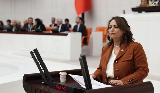“Deprem komisyonu raporları raflarda kaldı!”
