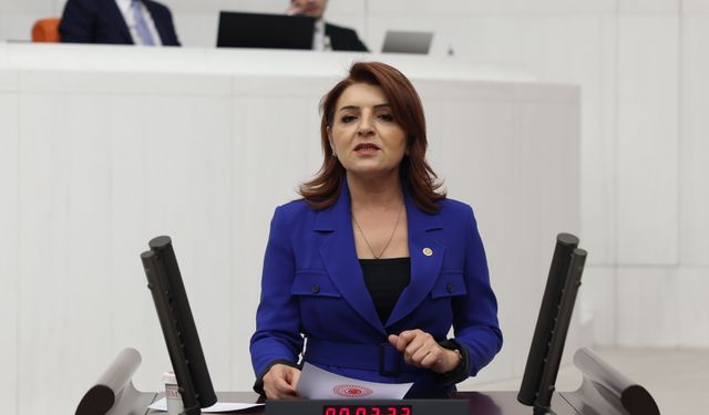 "İşsizlik düşmüyor, gençler iş aramaktan vazgeçiyor"