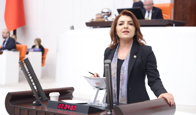 CHP’li Gülcan Kış: “Kazanan tek bir kesim var: faiz düzeni!”