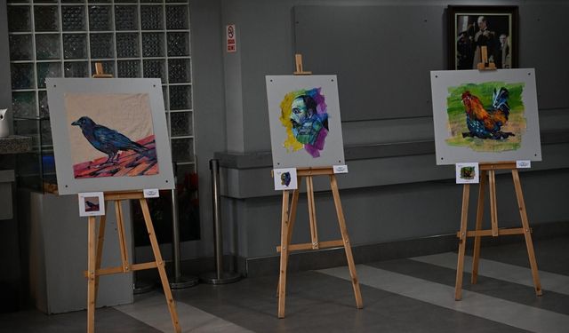 Plastik Atıklar Sanata Dönüştü