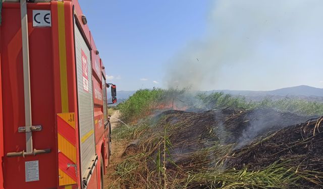Sıcaklık Artıyor, Nem Düşüyor: Manisa’da Bir Günde 50 Yangın