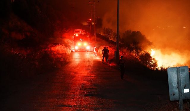 İzmir’in kuzeyinde orman yangını alarmı