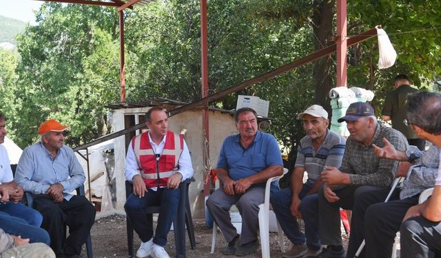 Cem Kotan yangın bölgesinde incelemeler yaptı