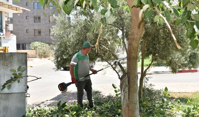 Sokaklardaki ‘Metruk’ Tehlikeye İnce Temizlik