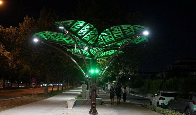 “Solar Ağaç” kent yaşamıyla buluştu