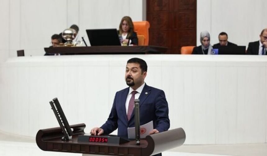 "Tasarrufu yerel basından değil, lüksten yapın"