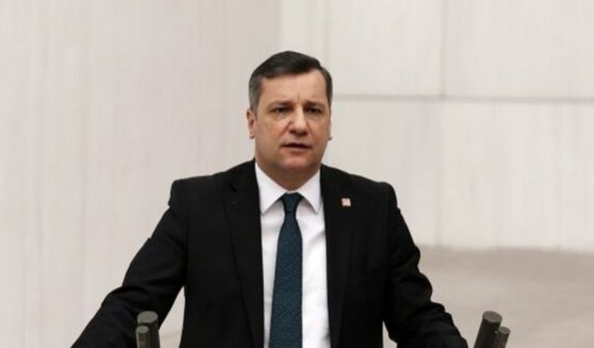 CHP'li Ceylan'dan orman yangınlarına karşı TSK çağrısı