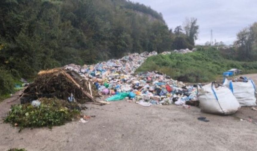 Bartın'da yollara dökülen çöpler Meclis gündeminde
