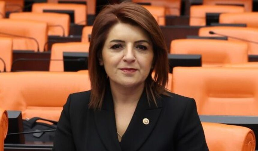 CHP’li Kış’tan TOKİ Kamulaştırmalarına Tepki: “Halkın Mülkiyet Hakkı İhlal Ediliyor”