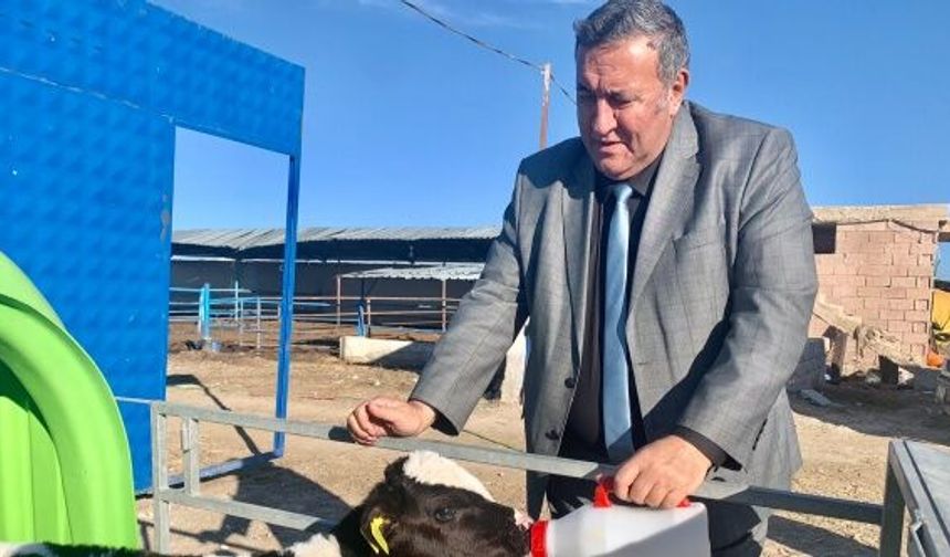 Gürer: “Hayvancılık ithalatla çöküşe sürükleniyor”