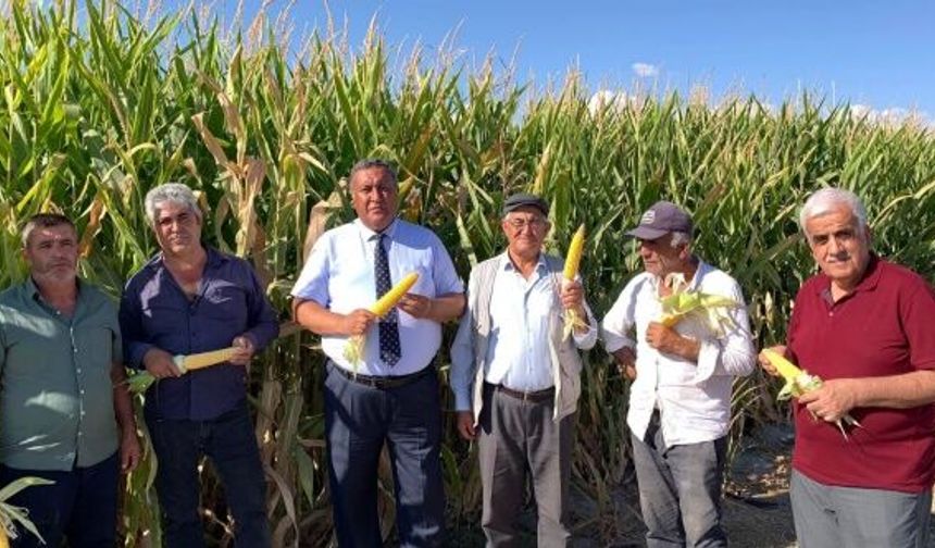 Gürer: “Mısır üretimi bitirilmek mi isteniyor?”