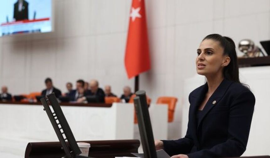 "Basının susturulduğu yerde halk da susturulmuş olur"