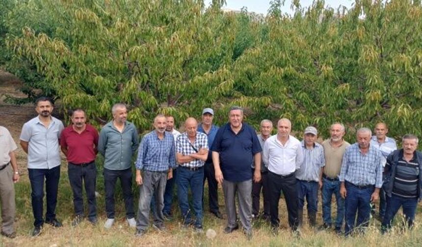 Gürer: “Kiraz yok, su yok, destek yok: Üretici isyanda!”