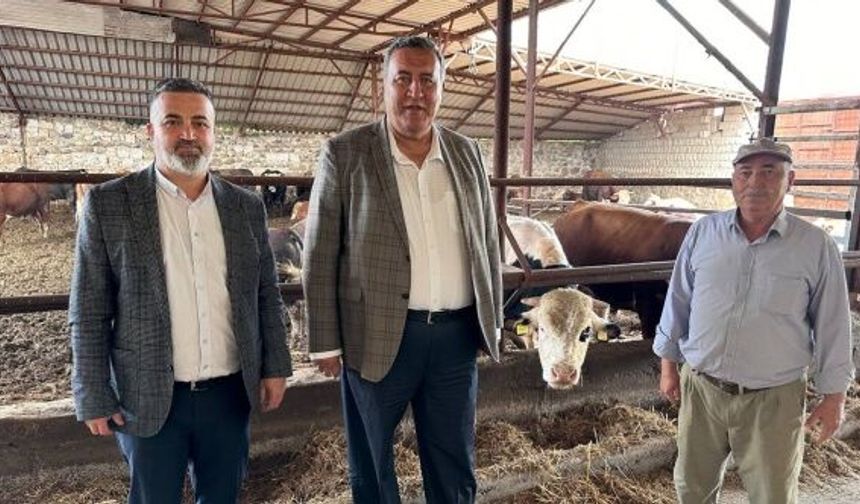 “3 yılda 2,7 milyar dolar hayvan ithalatına gitti”