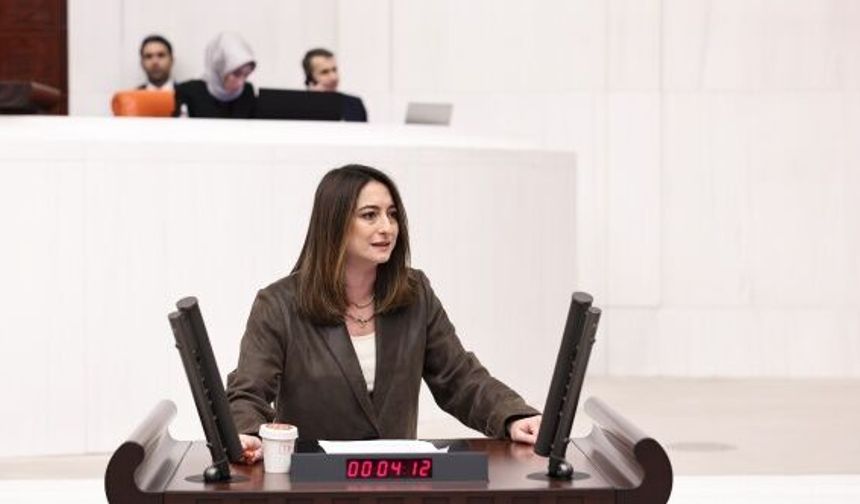 "TBMM Çocuk Hakları Komisyonu kurulsun"