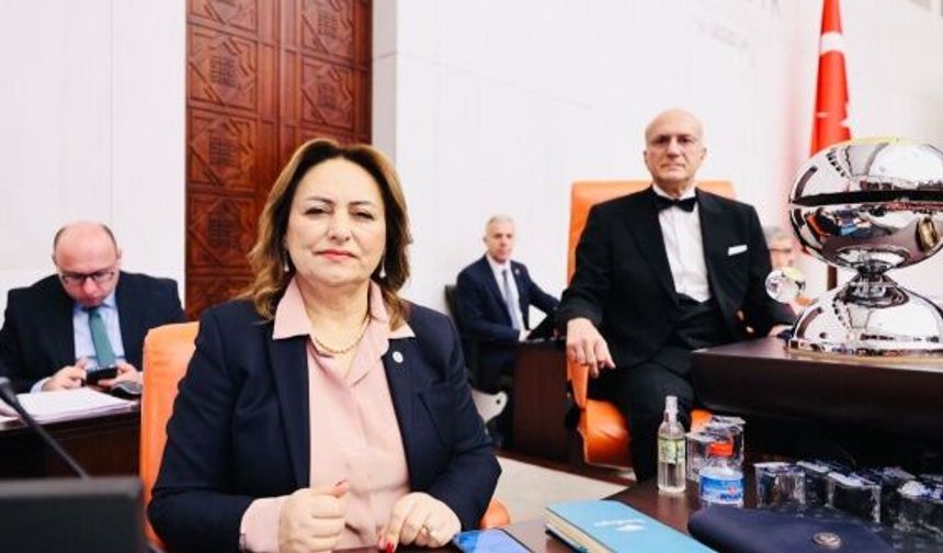 “AKP, yerel yönetimleri devre dışı bırakmak istiyor”