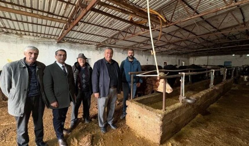 Gürer: “Şap Hastalığı Hayvancılığı Vuruyor!”