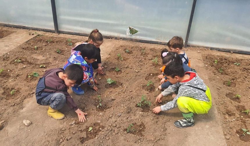 Konyayalı'nın çocukları tohumları toprakla buluşturuyor