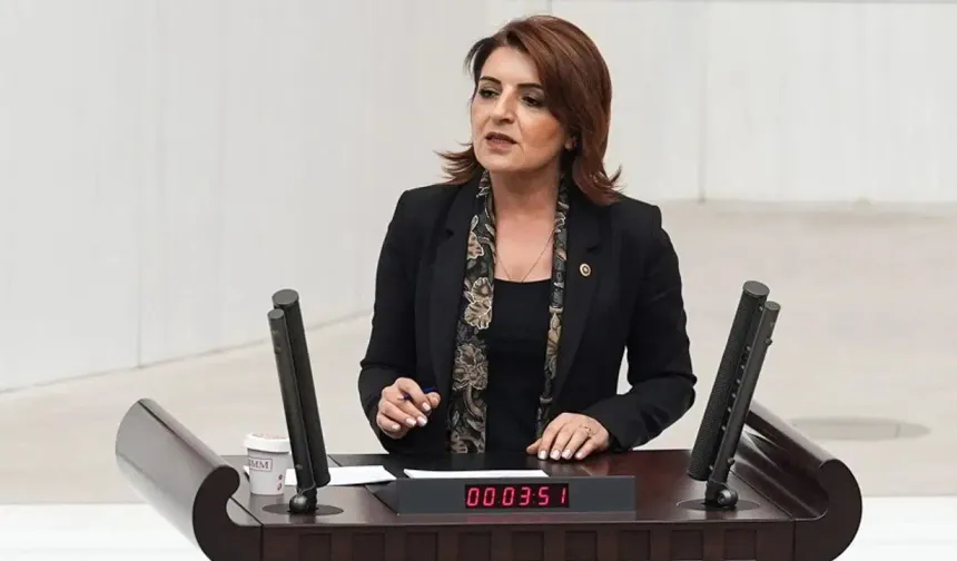 Gülcan Kış: “DSİ'nin görevini belediyelere yıkıyorlar”