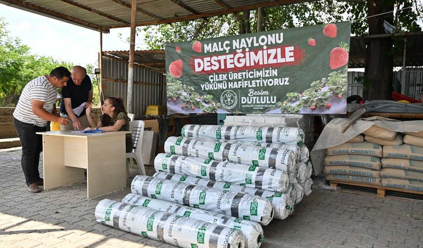 Manisa Büyükşehir’den Çilek Üreticilerine Malç Naylonu Desteği