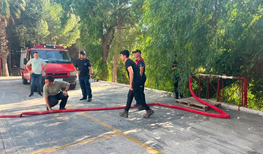 Foça'daki orman yangını için ekipler seferber oldu