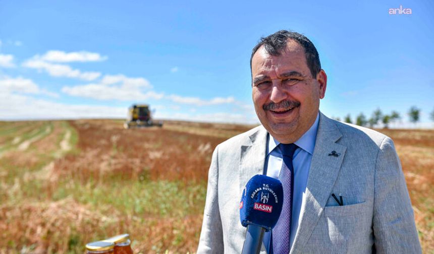 Ata Çiftliği'nde Karabuğday Hasadı