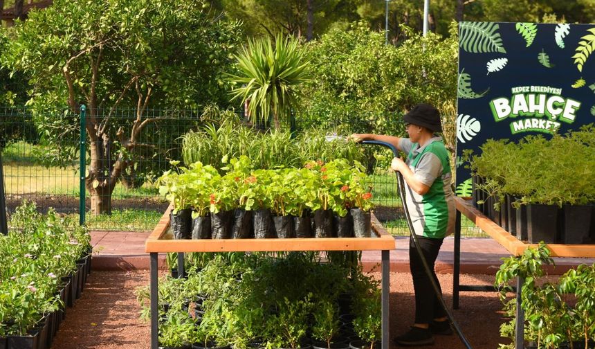 Kepez’de Yerli ve Uygun Fidan Dönemi: Bahçe Market Açılıyor