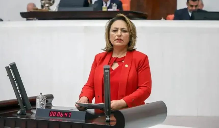 CHP’li Müzeyyen Şevkin'den mısır üreticisi için çağrı