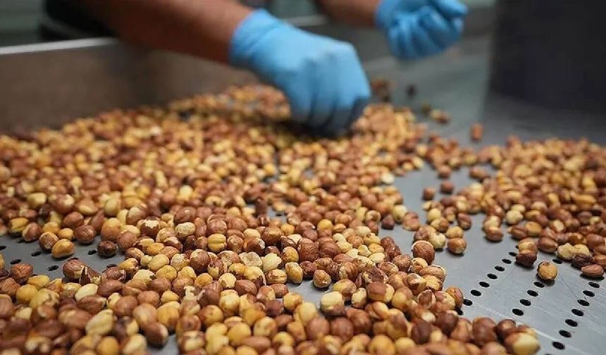 Bakanlık fındık borsalarına inceleme başlattı: Müfettiş görevlendirildi
