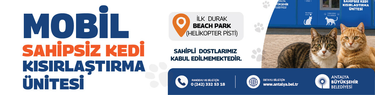 Kedi Banner 980X250