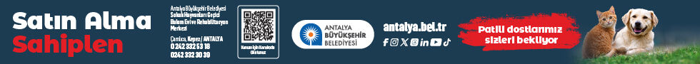 Sokak Hayvanlari Satinalma Sahiplen Web Bannerlar 10